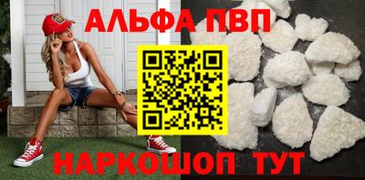 СК Кингисепп