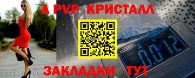 СК Кингисепп
