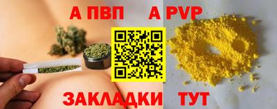 СК Кингисепп