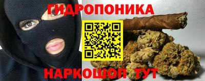 СК Кингисепп