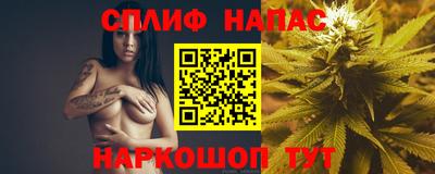 СК Кингисепп