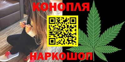 СК Кингисепп