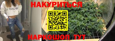 СК Кингисепп