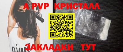 СК Кингисепп