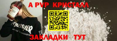 СК Кингисепп
